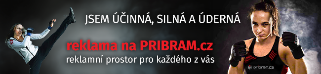 Zbanner_-_650_x_150_px.png